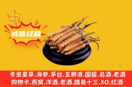 泰安市新泰回收冬虫夏草